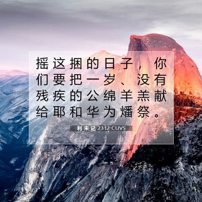 Picture 07 - 利 未 记 23:12 CUVS - 摇 这 捆 的 日 子 ， 你 们 要 把 一 - Bible Verse Picture