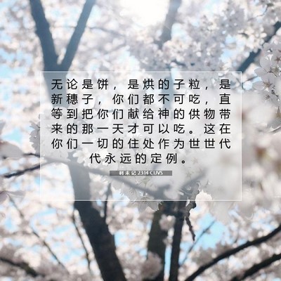 Picture 07 - 利 未 记 23:14 CUVS - 无 论 是 饼 ， 是 烘 的 子 粒 ， 是 - Bible Verse Picture