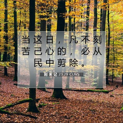Picture 07 - 利 未 记 23:29 CUVS - 当 这 日 ， 凡 不 刻 苦 己 心 的 ， - Bible Verse Picture