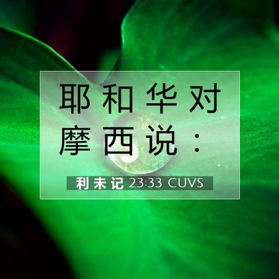 Picture 07 - 利 未 记 23:33 CUVS - 耶 和 华 对 摩 西 说 - Bible Verse Picture