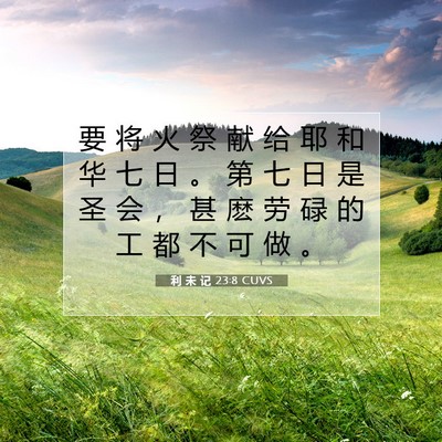 Picture 07 - 利 未 记 23:8 CUVS - 要 将 火 祭 献 给 耶 和 华 七 日 。 - Bible Verse Picture
