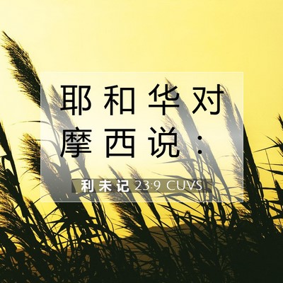 Picture 07 - 利 未 记 23:9 CUVS - 耶 和 华 对 摩 西 说 - Bible Verse Picture