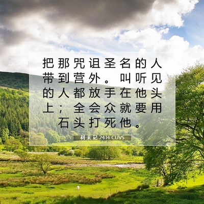 Picture 07 - 利 未 记 24:14 CUVS - 把 那 咒 诅 圣 名 的 人 带 到 营 外 - Bible Verse Picture
