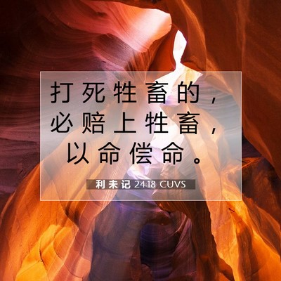 Picture 07 - 利 未 记 24:18 CUVS - 打 死 牲 畜 的 ， 必 赔 上 牲 畜 ， - Bible Verse Picture