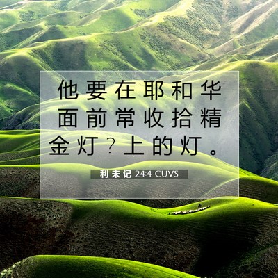 Picture 07 - 利 未 记 24:4 CUVS - 他 要 在 耶 和 华 面 前 常 收 拾 精 - Bible Verse Picture