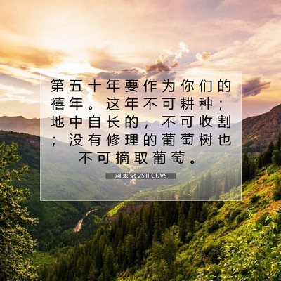 Picture 07 - 利 未 记 25:11 CUVS - 第 五 十 年 要 作 为 你 们 的 禧 年 - Bible Verse Picture