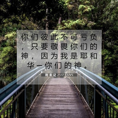 Picture 07 - 利 未 记 25:17 CUVS - 你 们 彼 此 不 可 亏 负 ， 只 要 敬 - Bible Verse Picture
