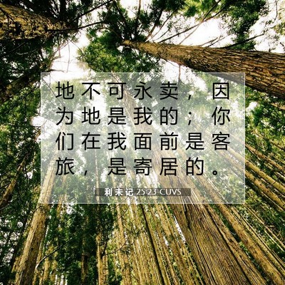 Picture 07 - 利 未 记 25:23 CUVS - 地 不 可 永 卖 ， 因 为 地 是 我 的 - Bible Verse Picture