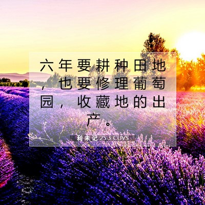 Picture 07 - 利 未 记 25:3 CUVS - 六 年 要 耕 种 田 地 ， 也 要 修 理 - Bible Verse Picture