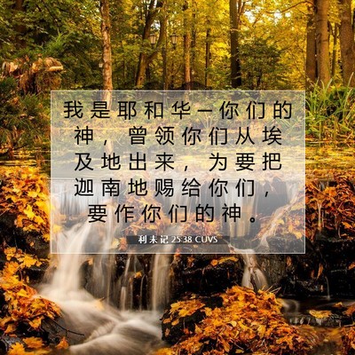 Picture 07 - 利 未 记 25:38 CUVS - 我 是 耶 和 华 ─ 你 们 的 神 ， 曾 - Bible Verse Picture