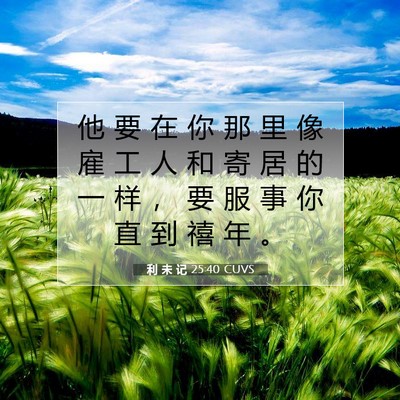 Picture 07 - 利 未 记 25:40 CUVS - 他 要 在 你 那 里 像 雇 工 人 和 寄 - Bible Verse Picture
