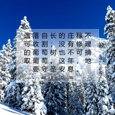 Picture 07 - 利 未 记 25:5 CUVS - 遗 落 自 长 的 庄 稼 不 可 收 割 ； - Bible Verse Picture
