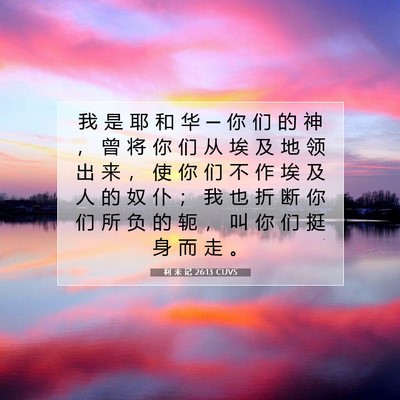 Picture 07 - 利 未 记 26:13 CUVS - 我 是 耶 和 华 ─ 你 们 的 神 ， 曾 - Bible Verse Picture