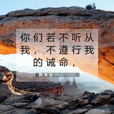Picture 07 - 利 未 记 26:14 CUVS - 你 们 若 不 听 从 我 ， 不 遵 行 我 - Bible Verse Picture
