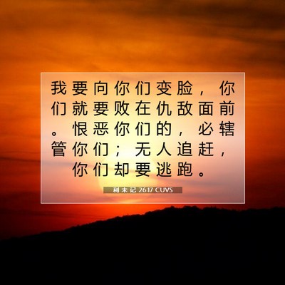 Picture 07 - 利 未 记 26:17 CUVS - 我 要 向 你 们 变 脸 ， 你 们 就 要 - Bible Verse Picture