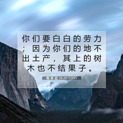 Picture 07 - 利 未 记 26:20 CUVS - 你 们 要 白 白 的 劳 力 ； 因 为 你 - Bible Verse Picture