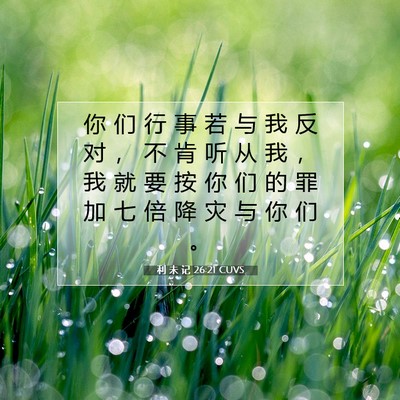 Picture 07 - 利 未 记 26:21 CUVS - 你 们 行 事 若 与 我 反 对 ， 不 肯 - Bible Verse Picture
