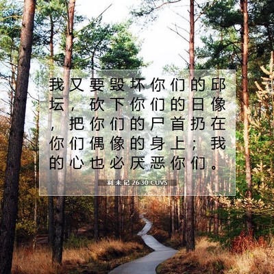 Picture 07 - 利 未 记 26:30 CUVS - 我 又 要 毁 坏 你 们 的 邱 坛 ， 砍 - Bible Verse Picture