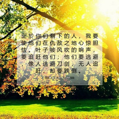 Picture 07 - 利 未 记 26:36 CUVS - 至 於 你 们 剩 下 的 人 ， 我 要 使 - Bible Verse Picture