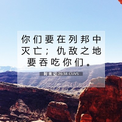 Picture 07 - 利 未 记 26:38 CUVS - 你 们 要 在 列 邦 中 灭 亡 ； 仇 敌 - Bible Verse Picture