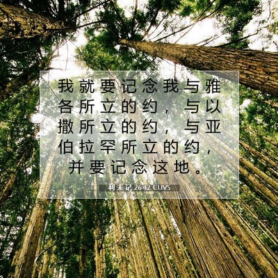 Picture 07 - 利 未 记 26:42 CUVS - 我 就 要 记 念 我 与 雅 各 所 立 的 - Bible Verse Picture