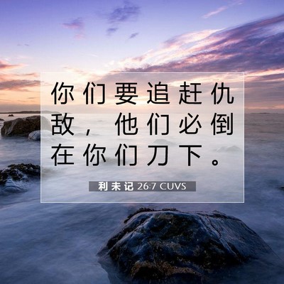 Picture 07 - 利 未 记 26:7 CUVS - 你 们 要 追 赶 仇 敌 ， 他 们 必 倒 - Bible Verse Picture