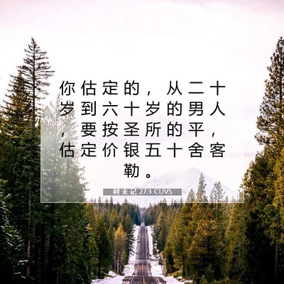 Picture 07 - 利 未 记 27:3 CUVS - 你 估 定 的 ， 从 二 十 岁 到 六 十 - Bible Verse Picture