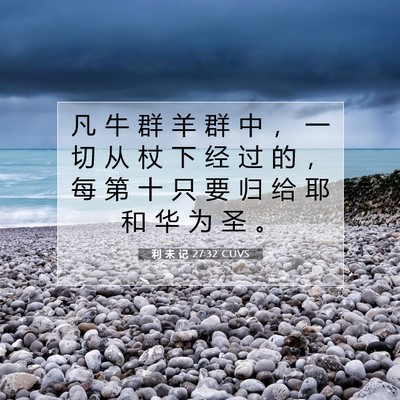 Picture 07 - 利 未 记 27:32 CUVS - 凡 牛 群 羊 群 中 ， 一 切 从 杖 下 - Bible Verse Picture