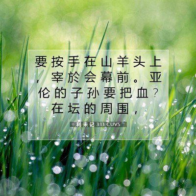 Picture 07 - 利 未 记 3:13 CUVS - 要 按 手 在 山 羊 头 上 ， 宰 於 会 - Bible Verse Picture