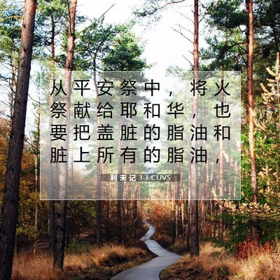 Picture 07 - 利 未 记 3:3 CUVS - 从 平 安 祭 中 ， 将 火 祭 献 给 耶 - Bible Verse Picture