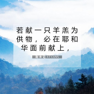 Picture 07 - 利 未 记 3:7 CUVS - 若 献 一 只 羊 羔 为 供 物 ， 必 在 - Bible Verse Picture