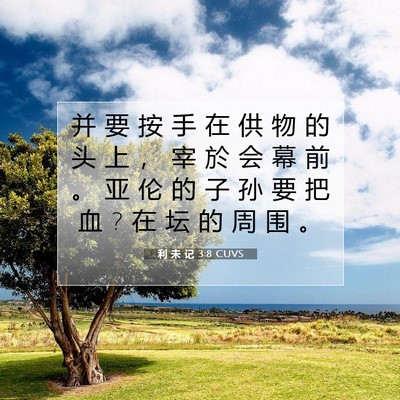 Picture 07 - 利 未 记 3:8 CUVS - 并 要 按 手 在 供 物 的 头 上 ， 宰 - Bible Verse Picture