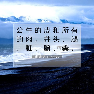 Picture 07 - 利 未 记 4:11 CUVS - 公 牛 的 皮 和 所 有 的 肉 ， 并 头 - Bible Verse Picture