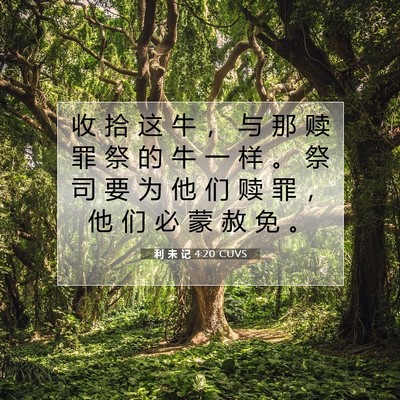 Picture 07 - 利 未 记 4:20 CUVS - 收 拾 这 牛 ， 与 那 赎 罪 祭 的 牛 - Bible Verse Picture