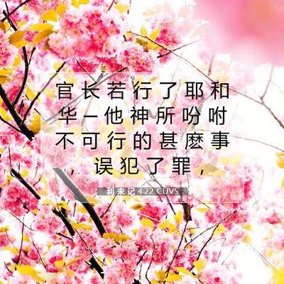 Picture 07 - 利 未 记 4:22 CUVS - 官 长 若 行 了 耶 和 华 ─ 他 神 所 - Bible Verse Picture