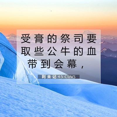 Picture 07 - 利 未 记 4:5 CUVS - 受 膏 的 祭 司 要 取 些 公 牛 的 血 - Bible Verse Picture
