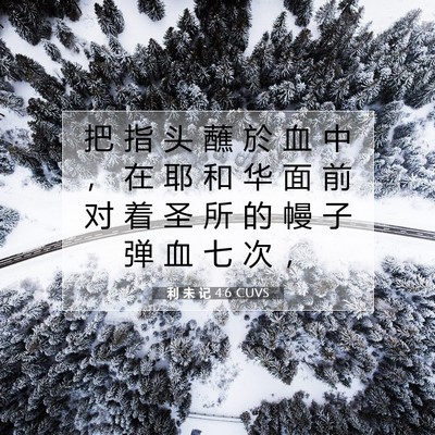 Picture 07 - 利 未 记 4:6 CUVS - 把 指 头 蘸 於 血 中 ， 在 耶 和 华 - Bible Verse Picture