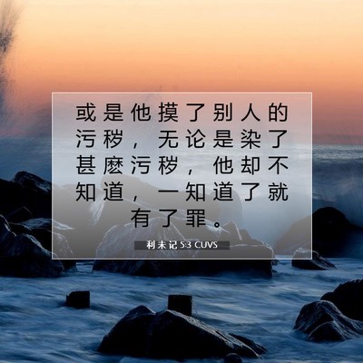 Picture 07 - 利 未 记 5:3 CUVS - 或 是 他 摸 了 别 人 的 污 秽 ， 无 - Bible Verse Picture