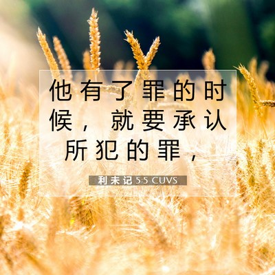 Picture 07 - 利 未 记 5:5 CUVS - 他 有 了 罪 的 时 候 ， 就 要 承 认 - Bible Verse Picture