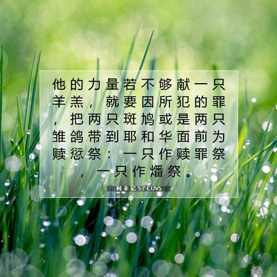 Picture 07 - 利 未 记 5:7 CUVS - 他 的 力 量 若 不 够 献 一 只 羊 羔 - Bible Verse Picture