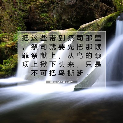 Picture 07 - 利 未 记 5:8 CUVS - 把 这 些 带 到 祭 司 那 里 ， 祭 司 - Bible Verse Picture