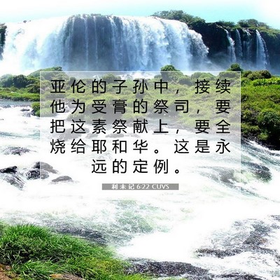 Picture 07 - 利 未 记 6:22 CUVS - 亚 伦 的 子 孙 中 ， 接 续 他 为 受 - Bible Verse Picture