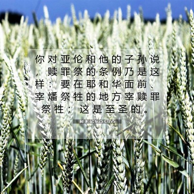 Picture 07 - 利 未 记 6:25 CUVS - 你 对 亚 伦 和 他 的 子 孙 说 ， 赎 - Bible Verse Picture