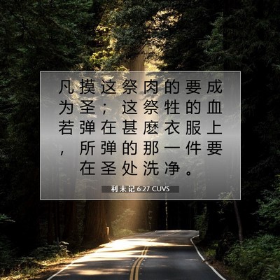 Picture 07 - 利 未 记 6:27 CUVS - 凡 摸 这 祭 肉 的 要 成 为 圣 ； 这 - Bible Verse Picture