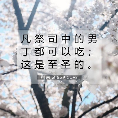 Picture 07 - 利 未 记 6:29 CUVS - 凡 祭 司 中 的 男 丁 都 可 以 吃 ； - Bible Verse Picture
