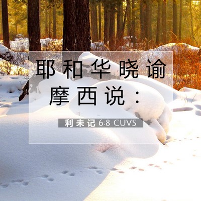 Picture 07 - 利 未 记 6:8 CUVS - 耶 和 华 晓 谕 摩 西 说 - Bible Verse Picture