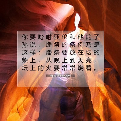 Picture 07 - 利 未 记 6:9 CUVS - 你 要 吩 咐 亚 伦 和 他 的 子 孙 说 - Bible Verse Picture