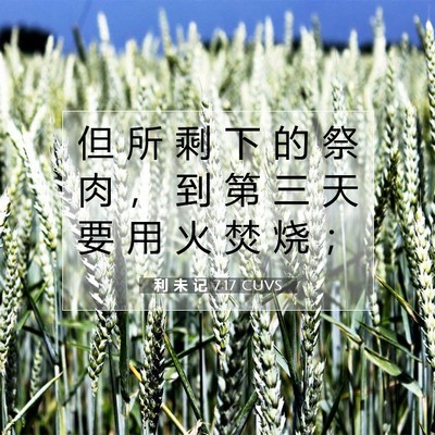 Picture 07 - 利 未 记 7:17 CUVS - 但 所 剩 下 的 祭 肉 ， 到 第 三 天 - Bible Verse Picture