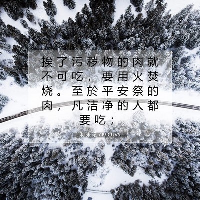 Picture 07 - 利 未 记 7:19 CUVS - 挨 了 污 秽 物 的 肉 就 不 可 吃 ， - Bible Verse Picture