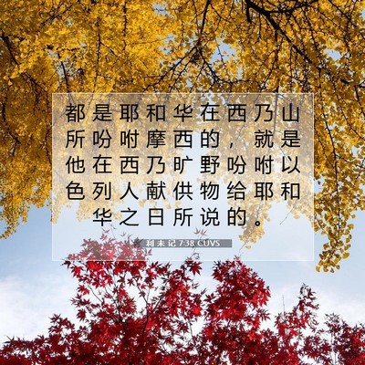 Picture 07 - 利 未 记 7:38 CUVS - 都 是 耶 和 华 在 西 乃 山 所 吩 咐 - Bible Verse Picture
